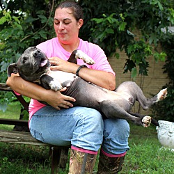 Thumbnail photo of Marie~adopted! #2