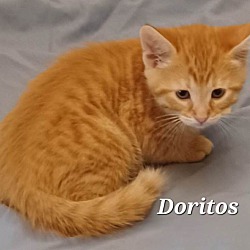Photo of Doritos