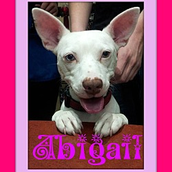 Thumbnail photo of Abigail #1
