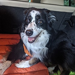 Photo of Riley