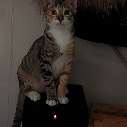 Photo of Maggie