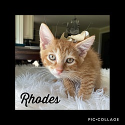 Photo of Rhodes