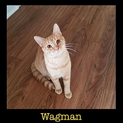Thumbnail photo of Wagman #2