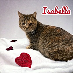 Thumbnail photo of Isabella #1