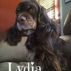 Thumbnail photo of Lydia #1