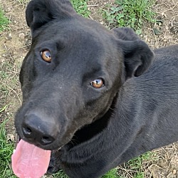 Photo of Skipper