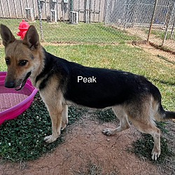 Photo of Peak