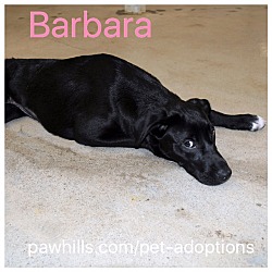 Thumbnail photo of Barbara #3