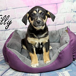 Thumbnail photo of Tilly ~ meet me! #2