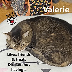 Thumbnail photo of Valerie #1