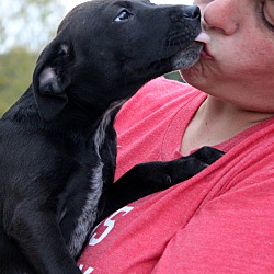 Thumbnail photo of ZuZu ~ adopted! #3
