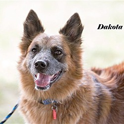 Photo of Dakota