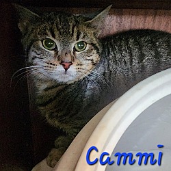 Thumbnail photo of Cammi #3