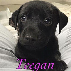 Thumbnail photo of Teegan #2