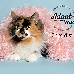 Thumbnail photo of Cindy #1