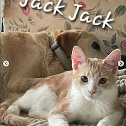 Photo of Jack Jack