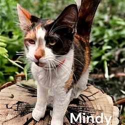 Thumbnail photo of Mindy #1