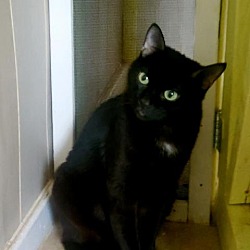 Photo of Mickey