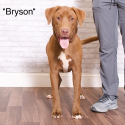 Thumbnail photo of Bryson #2