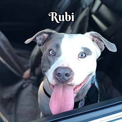 Thumbnail photo of Rubi #2