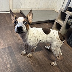 Photo of KIKI