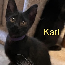 Thumbnail photo of Karl #2