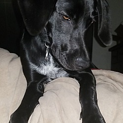 Photo of Ellie