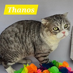 Photo of Thanos
