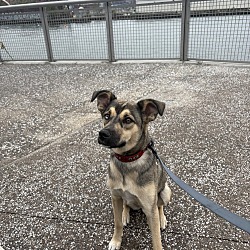 Winnie