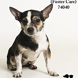 Thumbnail photo of Carmen  (Foster Care) #1