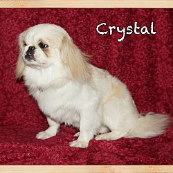 Thumbnail photo of Crystal #4