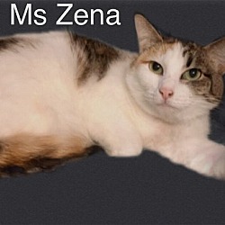 Photo of Ms Zena at Martinez Pet Food Express May 4th