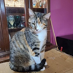 Photo of ELLA