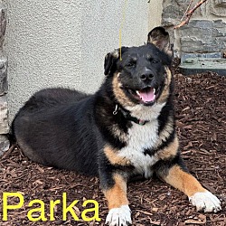 Thumbnail photo of Parka #2