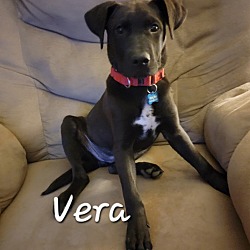 Photo of Vera