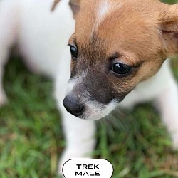 Thumbnail photo of Trek Travel #2