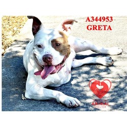 Photo of GRETA