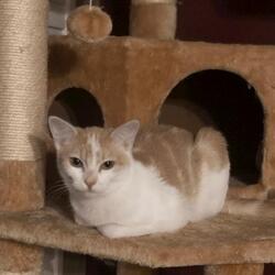 Photo of Elva