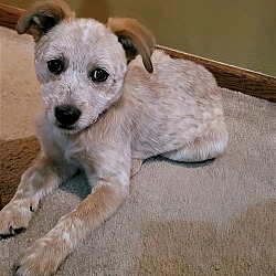 Photo of **NINA**