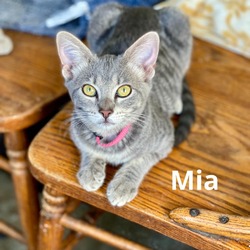 Thumbnail photo of Mia #1