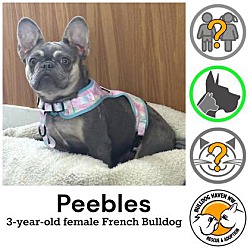 Thumbnail photo of Peebles #1