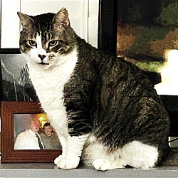 Photo of MR. TOM TOM