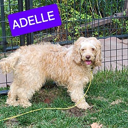 Thumbnail photo of Adelle #1