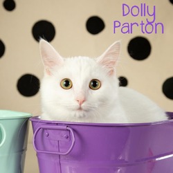 Thumbnail photo of Dolly Parton #2