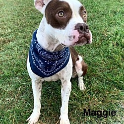 Thumbnail photo of Maggie #2