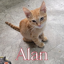 Thumbnail photo of Alan #3