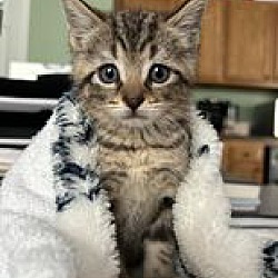 Photo of Cora