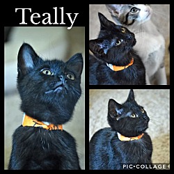 Photo of Teally