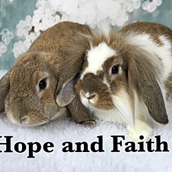 Thumbnail photo of Faith and Hope #1