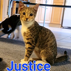 Photo of Justice